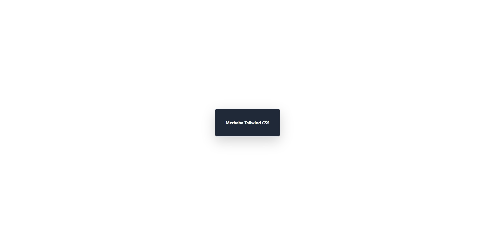 tailwindcss1